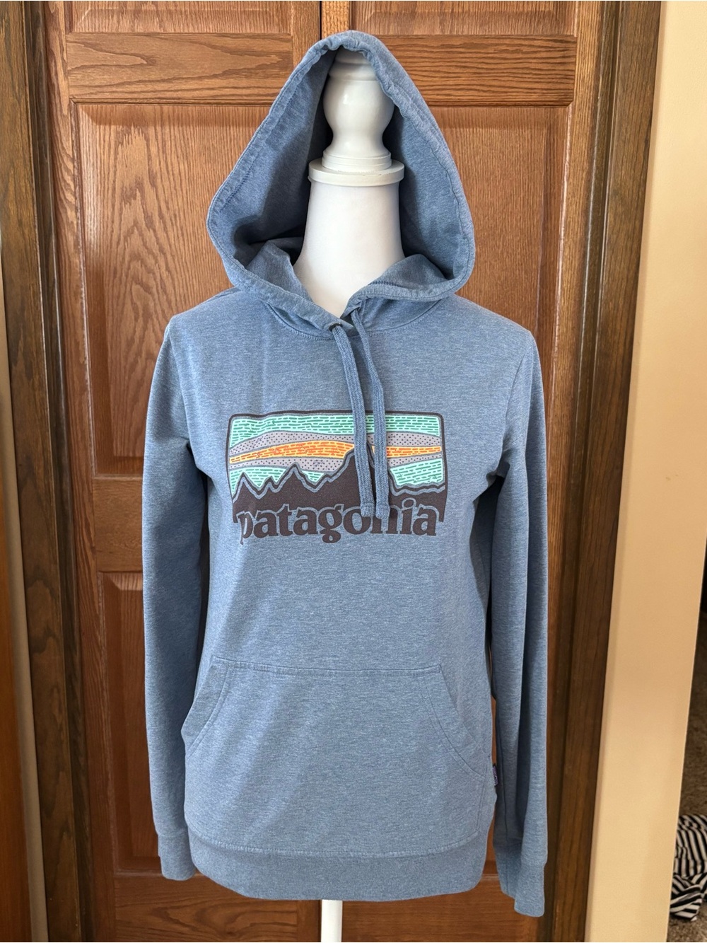 Patagonia Logo Hoody